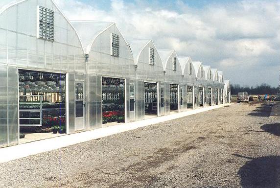 Greenhouses/HerculonGutterConnectGreenhouse.jpg